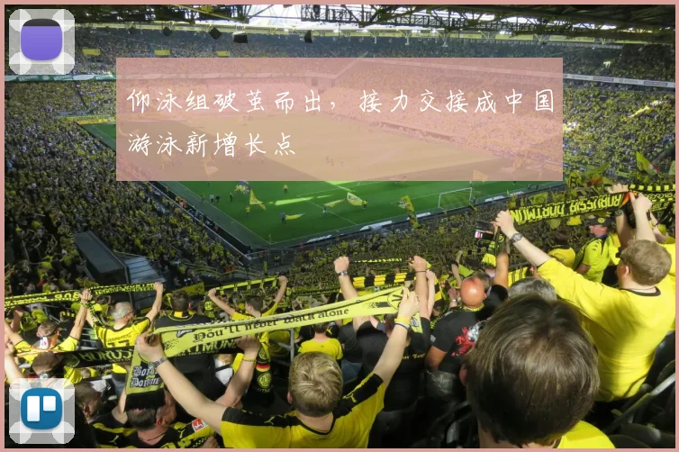 仰泳组破茧而出，接力交接成中国游泳新增长点