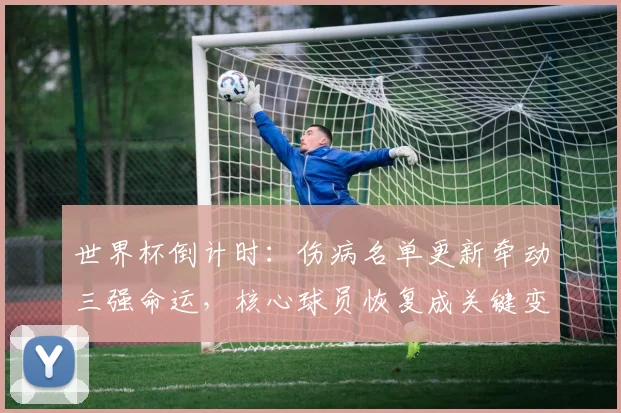 世界杯倒计时：伤病名单更新牵动三强命运，核心球员恢复成关键变数