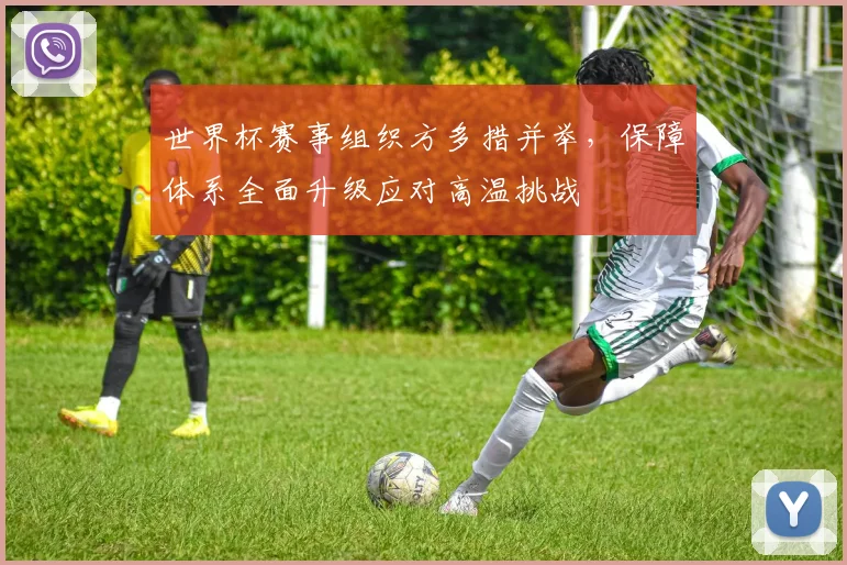 世界杯赛事组织方多措并举，保障体系全面升级应对高温挑战