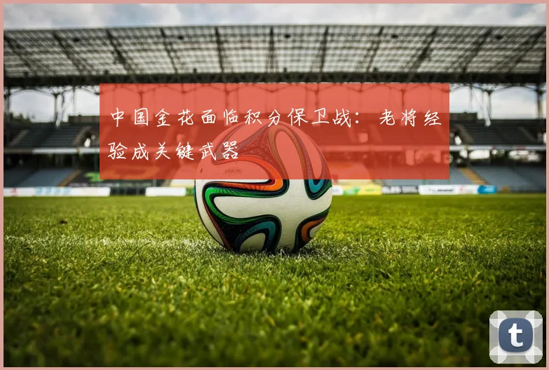 中国金花面临积分保卫战：老将经验成关键武器