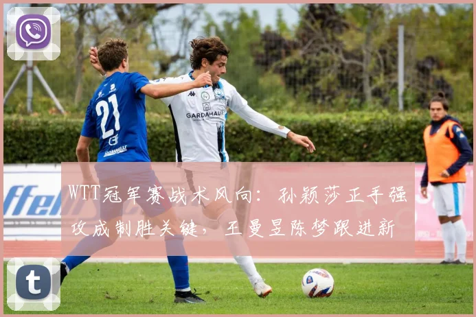 WTT冠军赛战术风向：孙颖莎正手强攻成制胜关键，王曼昱陈梦跟进新趋势